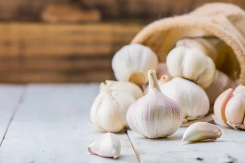 تصویر 2 از خرید و قیمت سیر تازه + فروش عمده